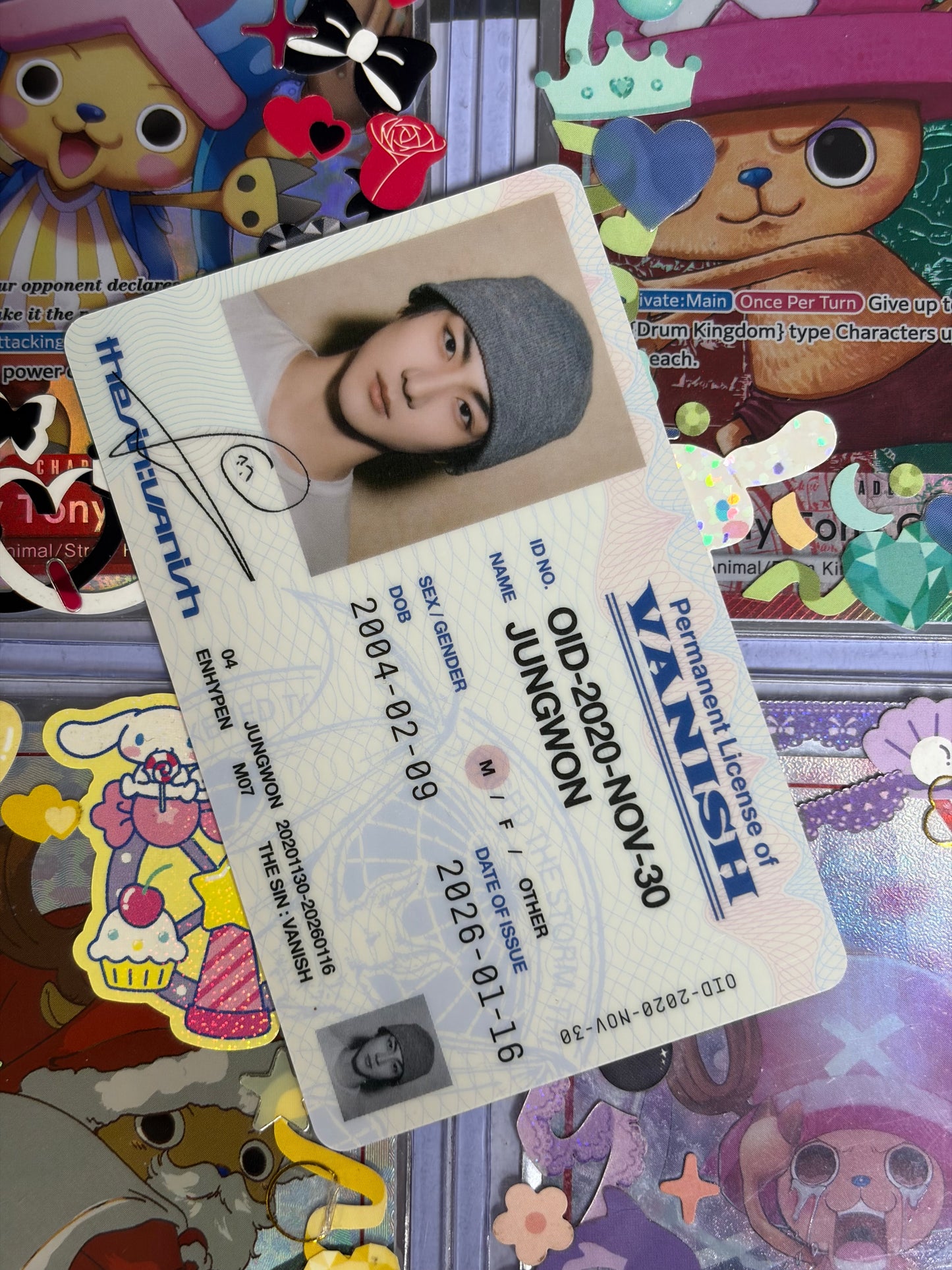 Jungwon The Sin : Vanish ver Fugitive ID