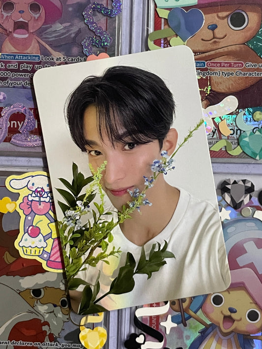 DK 17 is Right Here ver Dear