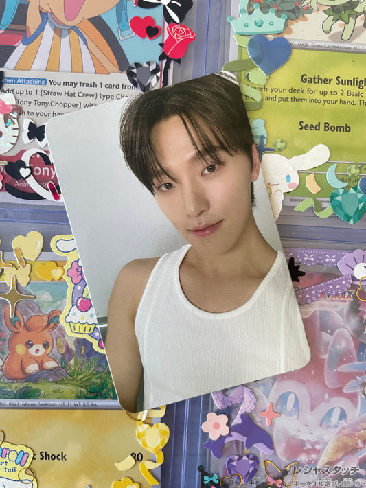 Dino Dear