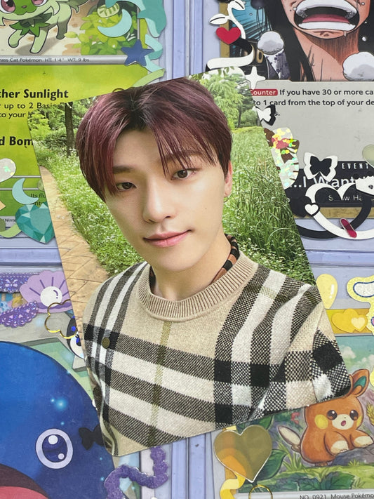 Dino 2021 Photobook