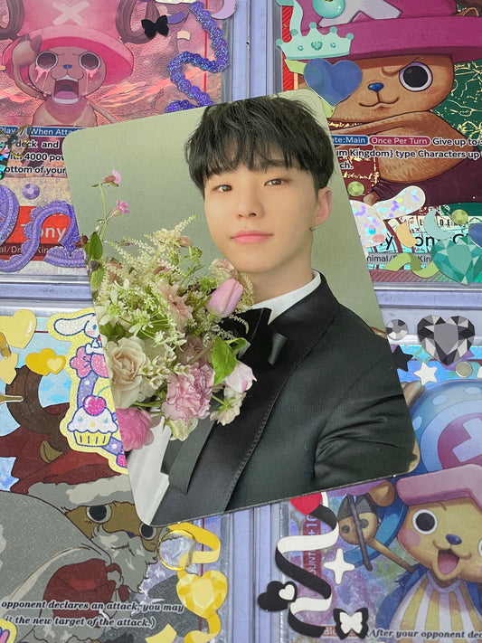 Hoshi FML ver Carat