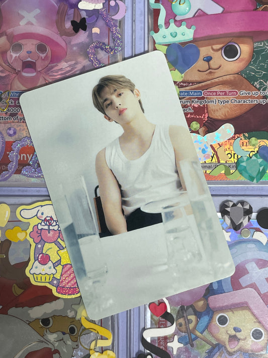 S.Coups The Best ver Binder