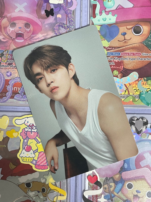 S.Coups The Best ver Binder