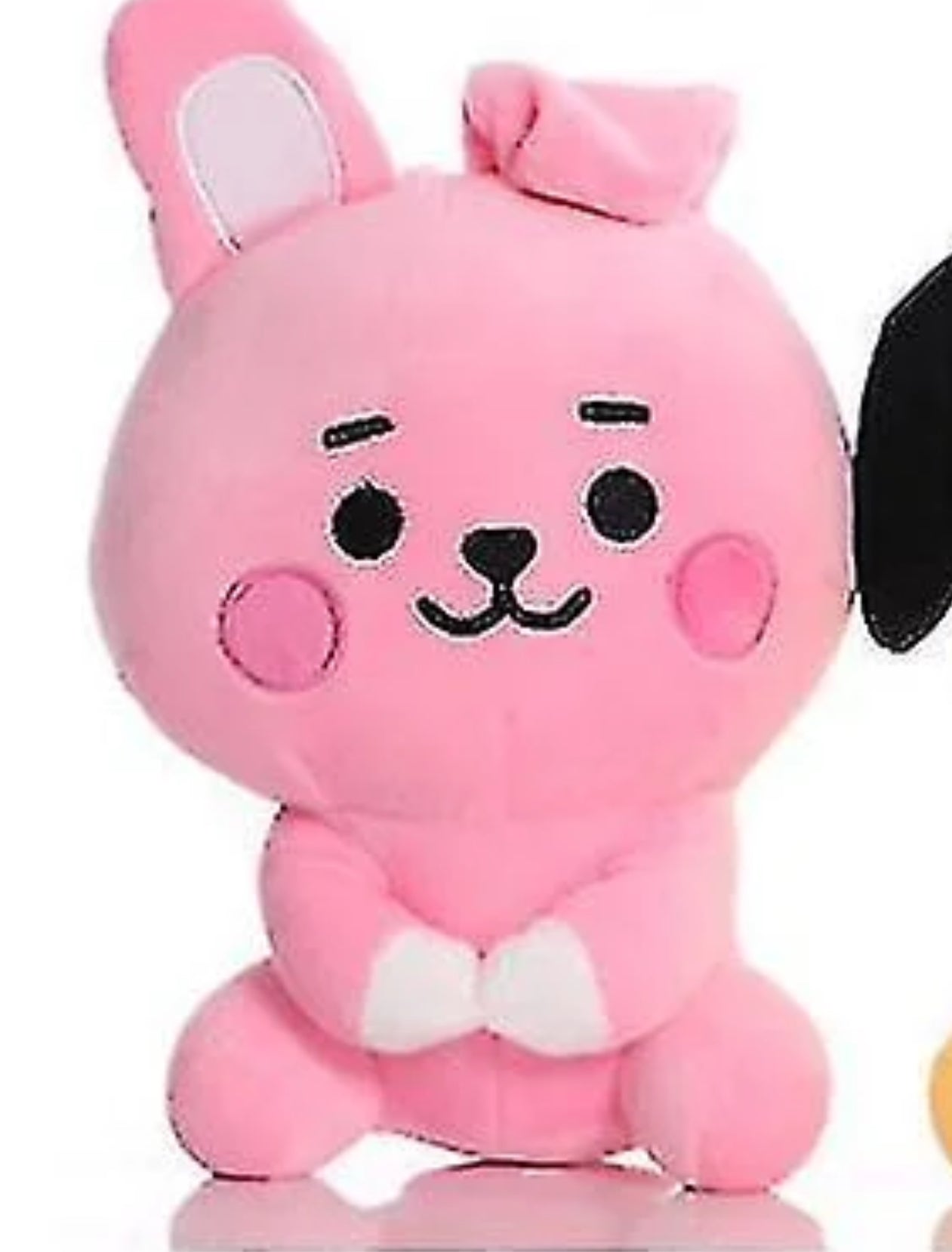 BT21 Peluches llavero