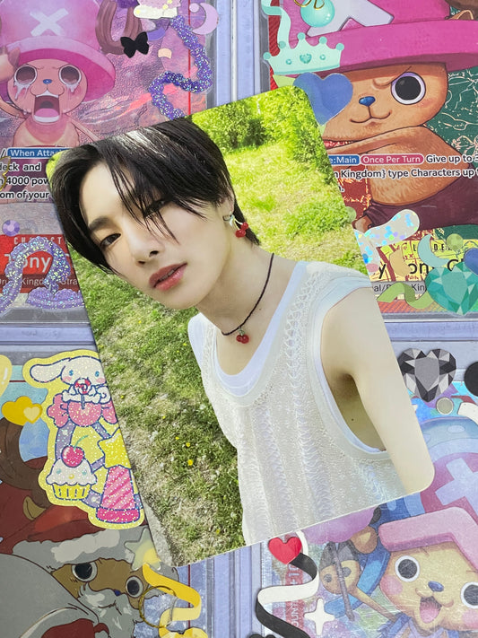 I.N Maxident ver T-Crush