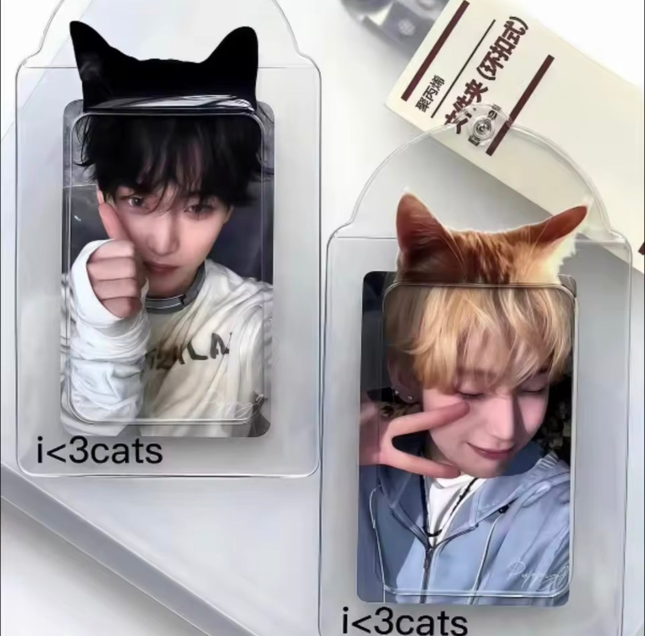 Holder Gato