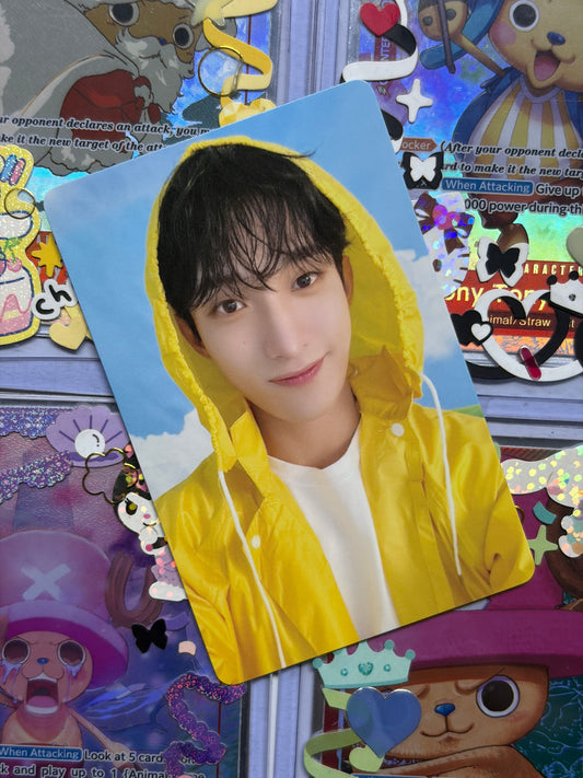 DK Heaven ver Carat