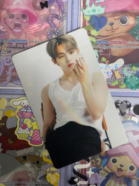 S.Coups The Best ver Binder