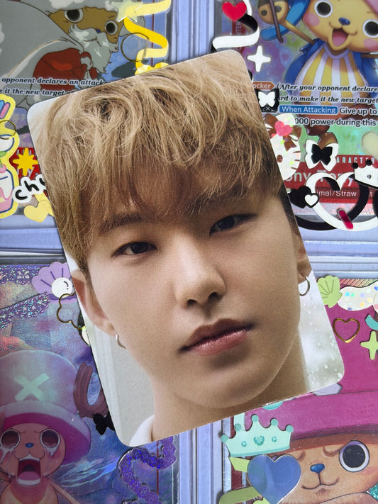 Hoshi DICON