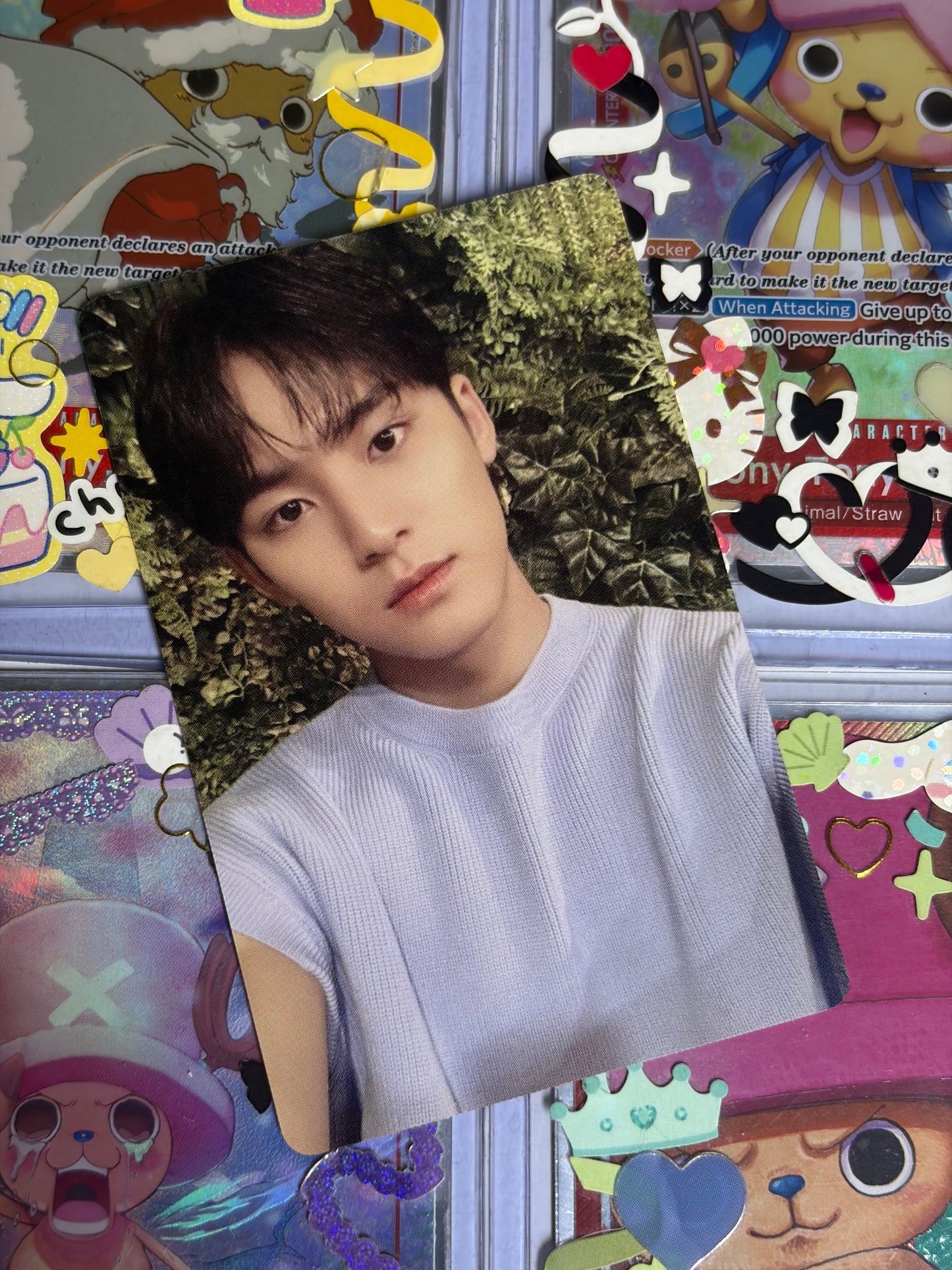 Mingyu DICON