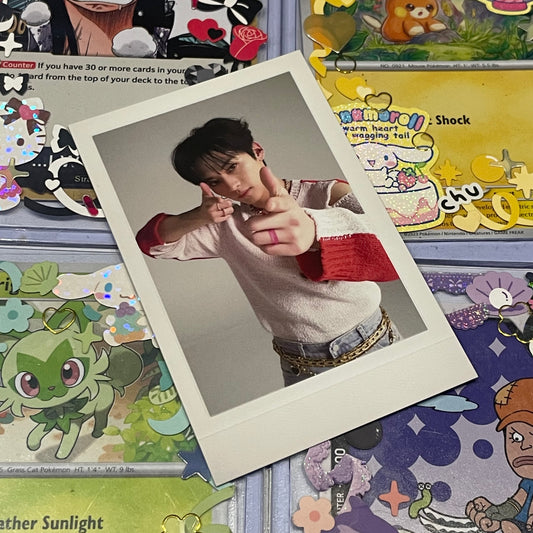 Lee Know Polaroid Maxident