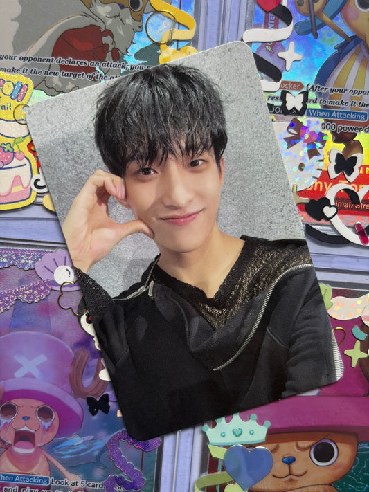 DK Face The Sun ver Shadow