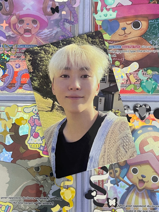 Seungkwan In The Soop 2