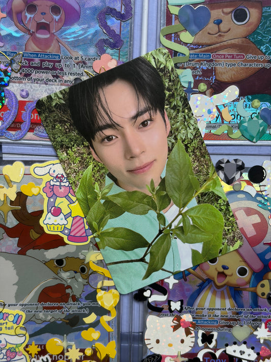 Hanbin Bringgreen