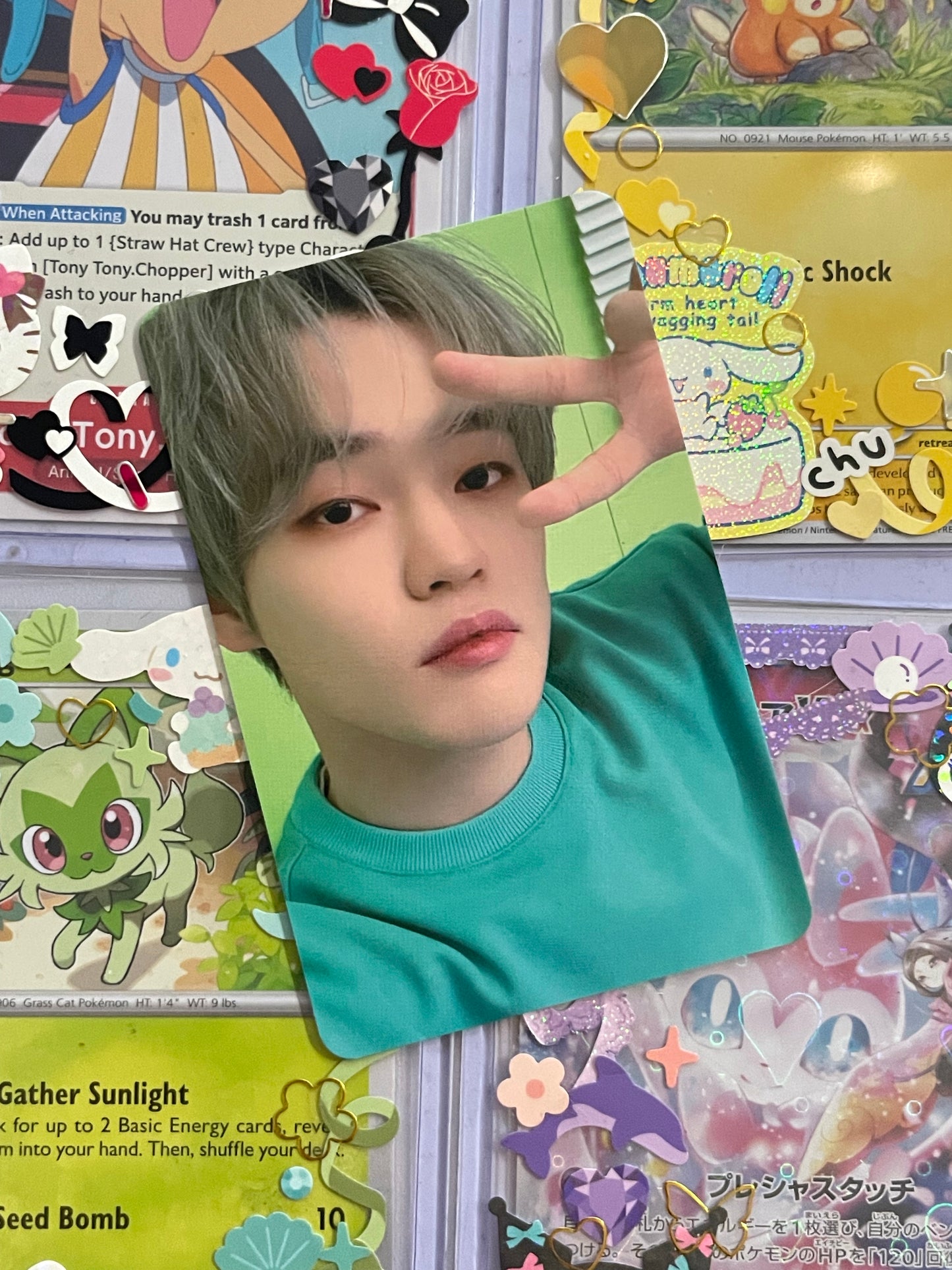Chenle trading Laundry