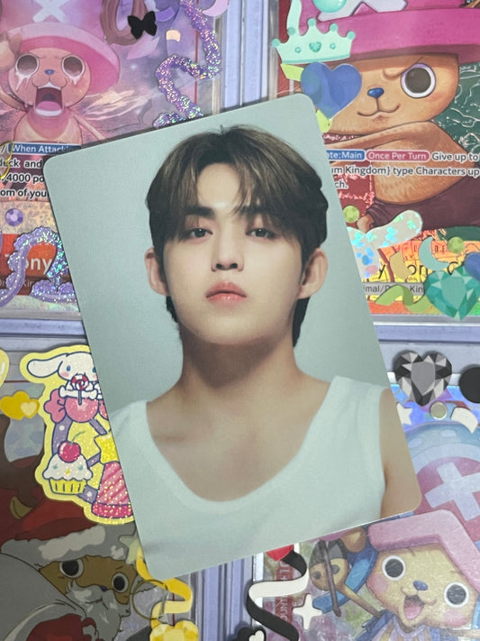 S.Coups The Best ver Binder