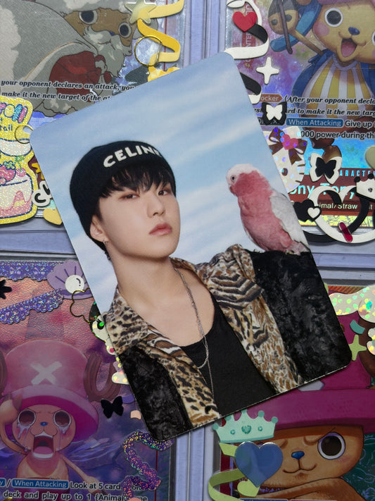 Hoshi DICON