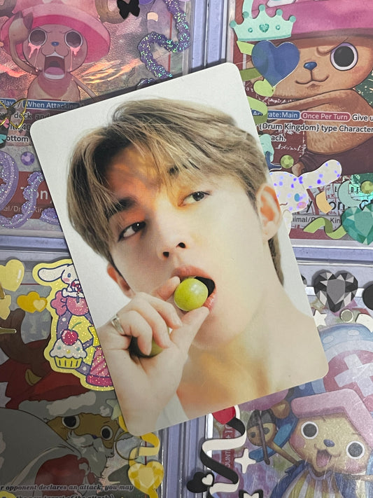 S.Coups The Best ver Binder