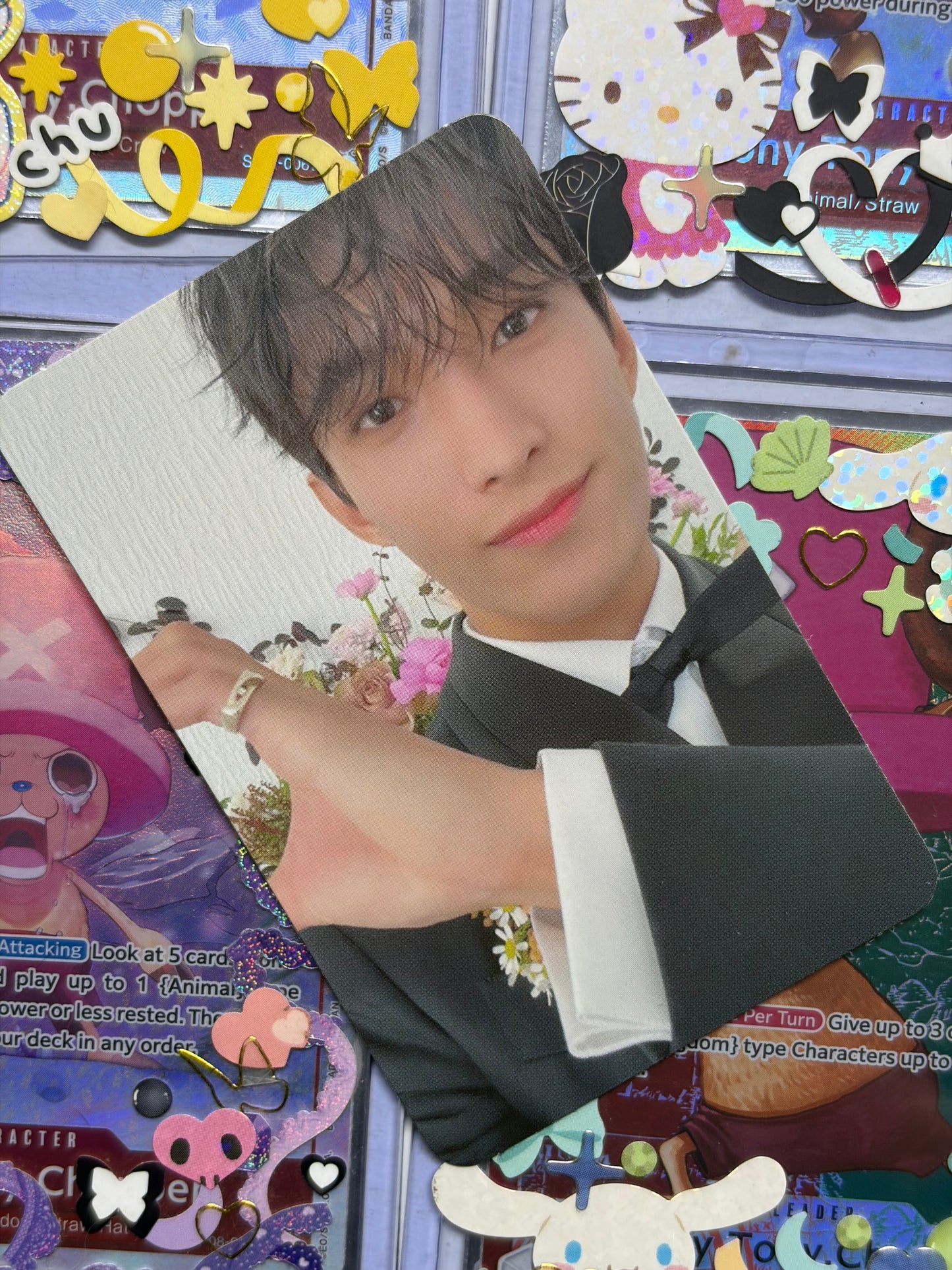 DK FML ver Carat