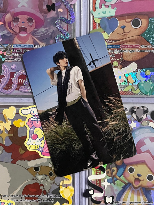 Jisung ISTJ QR