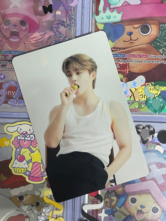 S.Coups The Best ver Binder