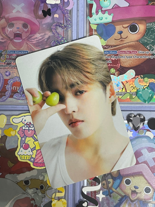 S.Coups The Best ver Binder