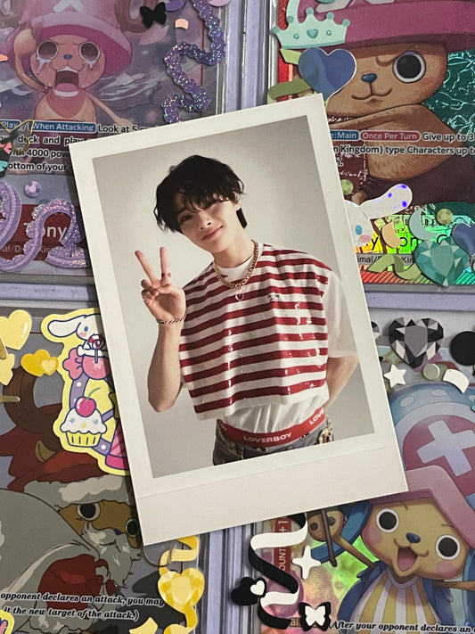 I.N Polaroid