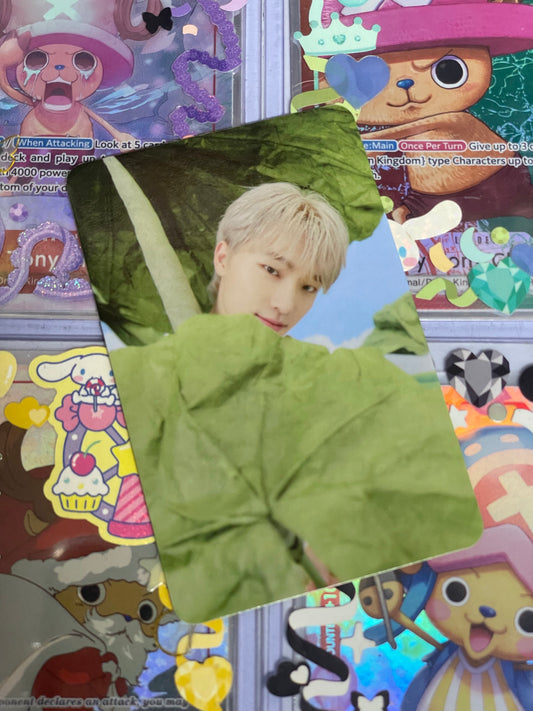 Dino Heaven ver Binder