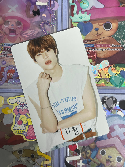Sohee DICON Scratch