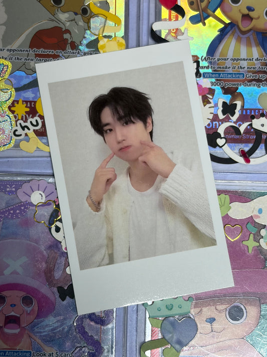 Han SG Polaroid