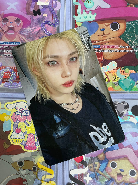 Felix Karma POB SKZOO