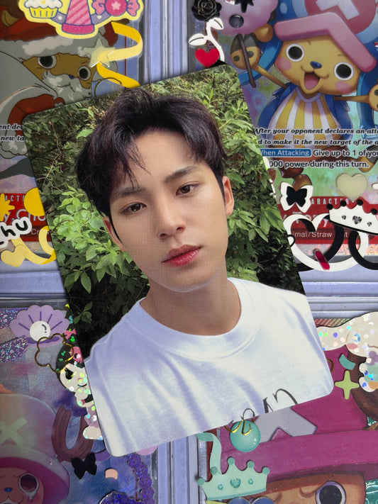 Mingyu DICON