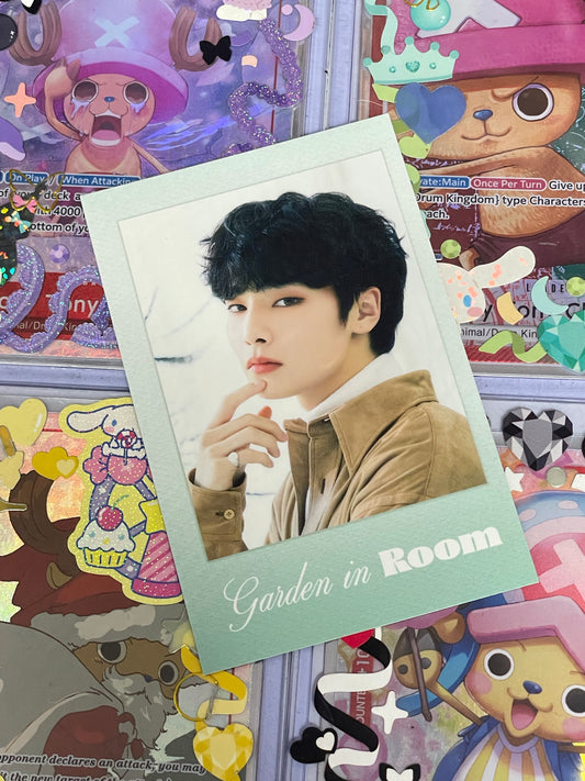 I.N Polaroid SG