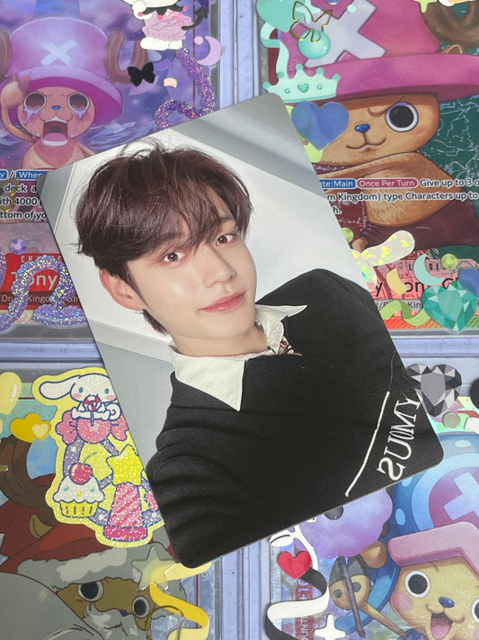 Jiwoong Melting Point ver Mistery