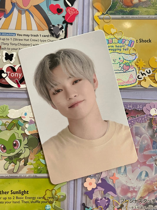 Chenle Dream Vibe
