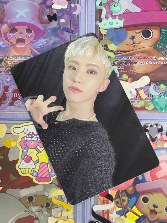 Hoshi Carat Land 2022