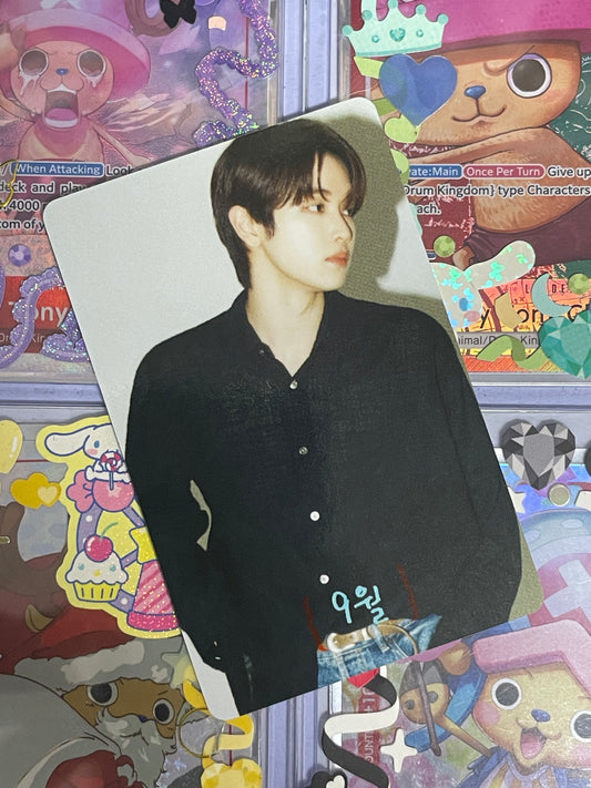 Sungchan DICON Scratch