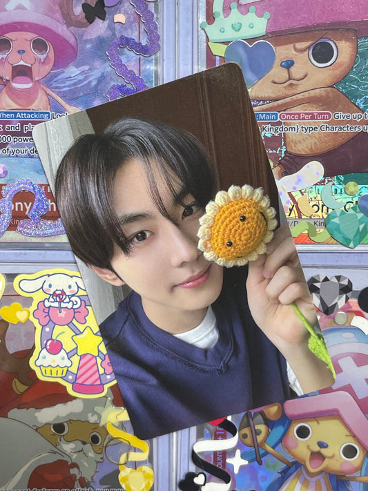 Jungwon Romance: Untold ver Engene