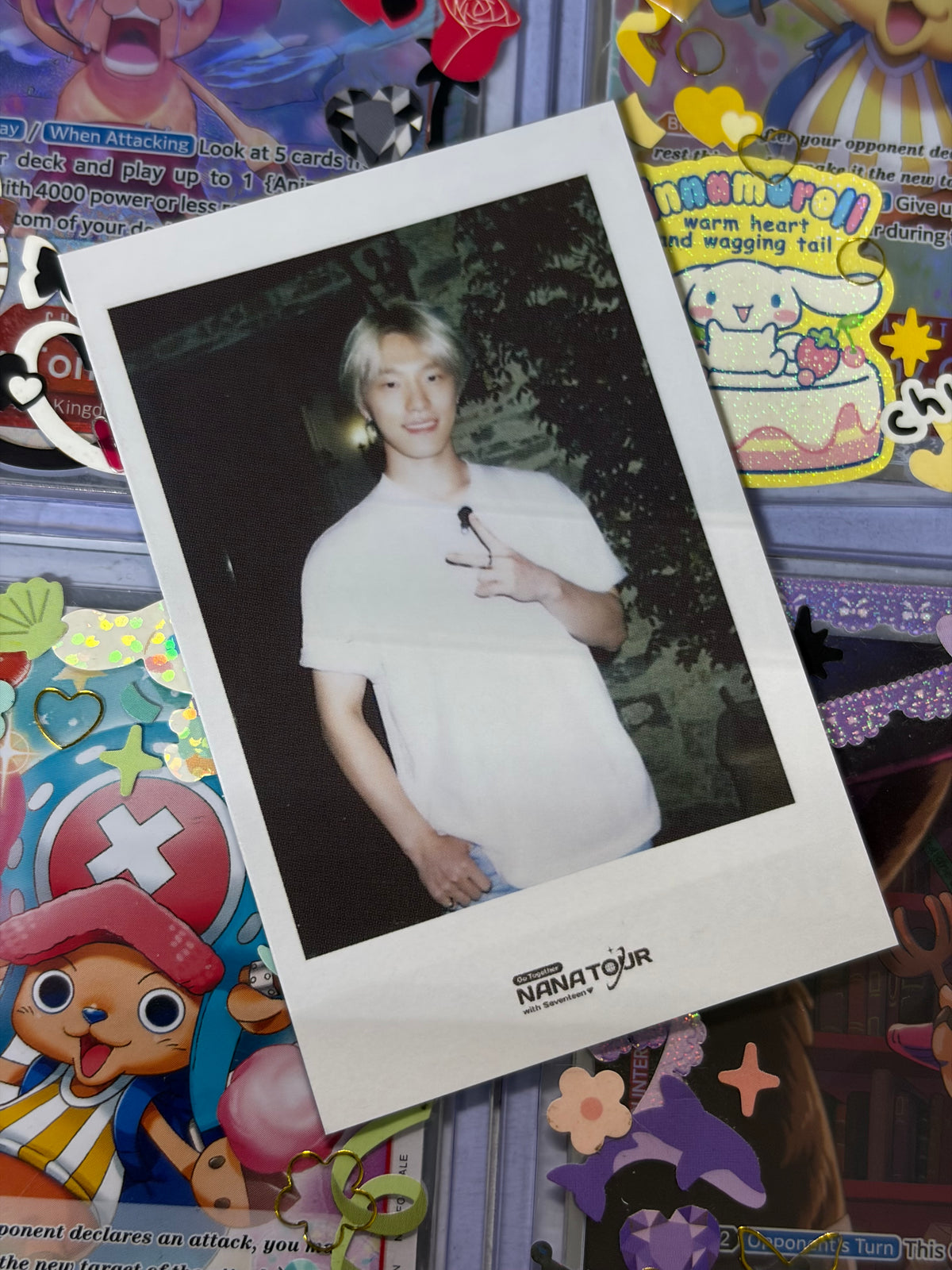 Dino Nana Tour Polaroid