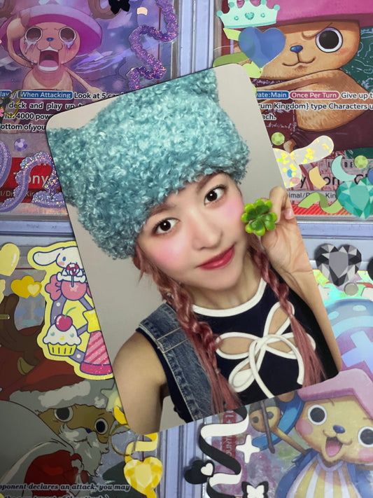 Lily SG